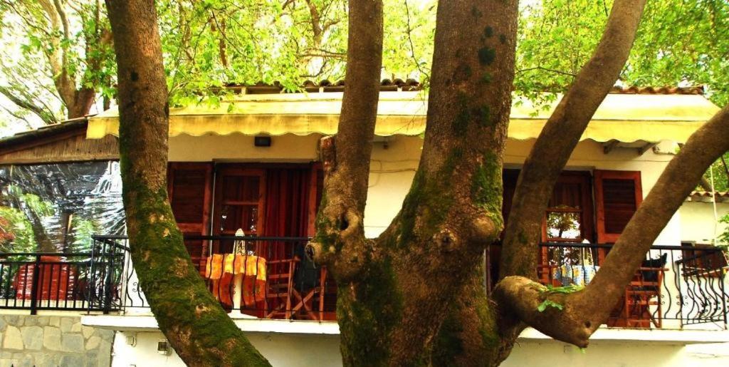 Appartement Parselia *