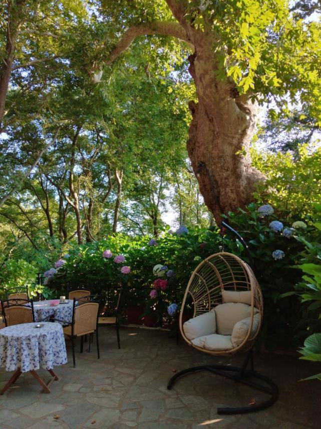 Parselia Appartement Therma (Samothraki)