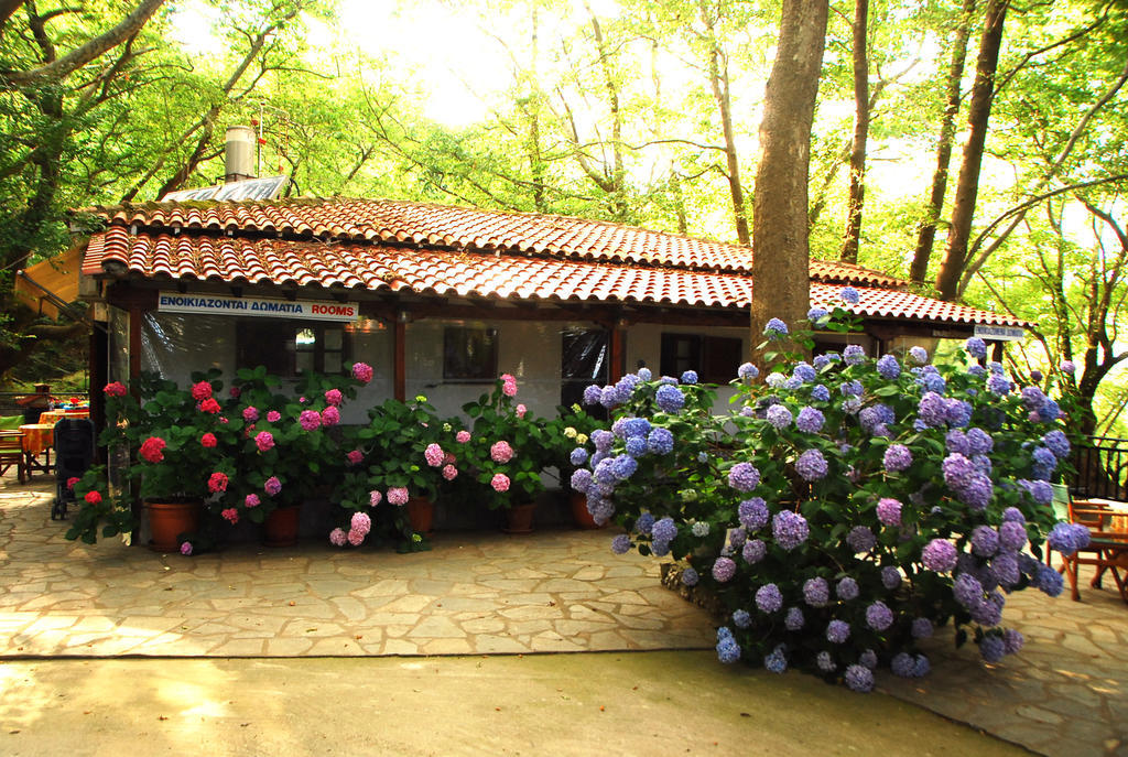Appartement Parselia *